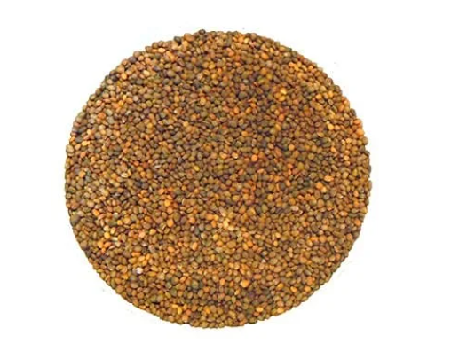 Roquette à germer - 100g - Bizz coop