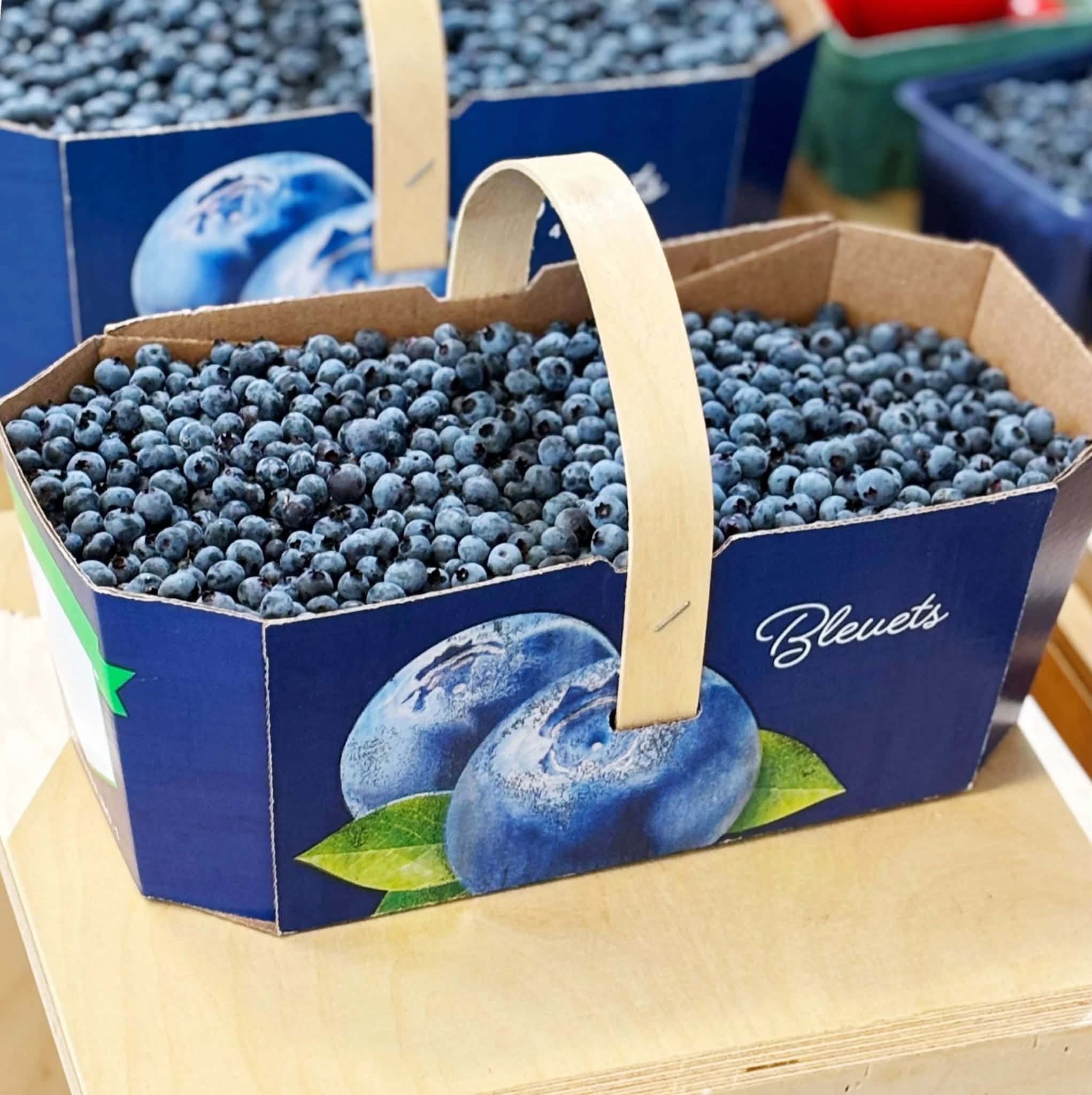 Bleuets BIO de la région - frais - plusieurs formats