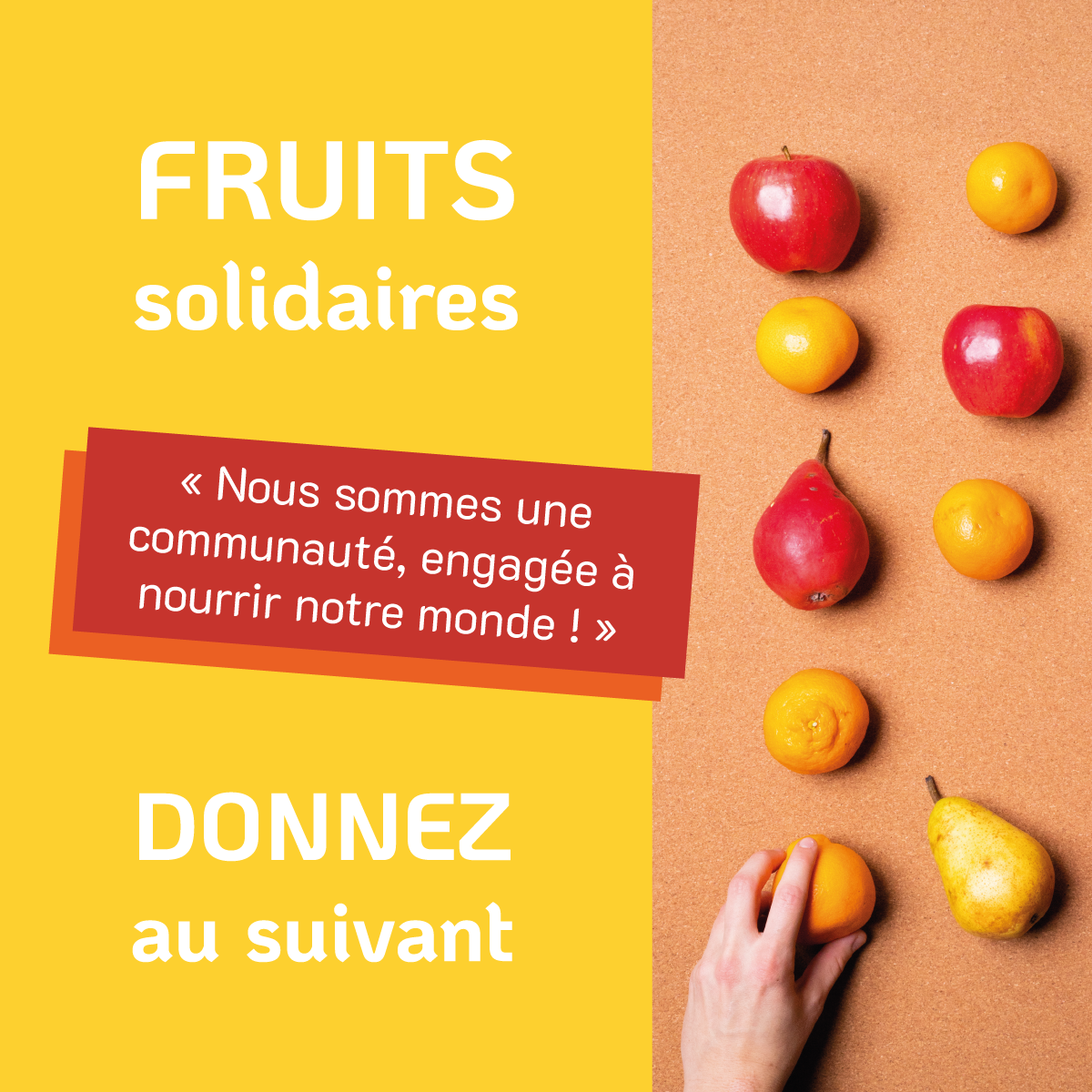 Don fruit solidaire
