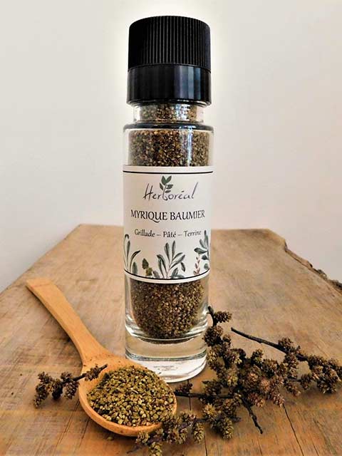 Épices myrique beaumier - 30g - Herboréal