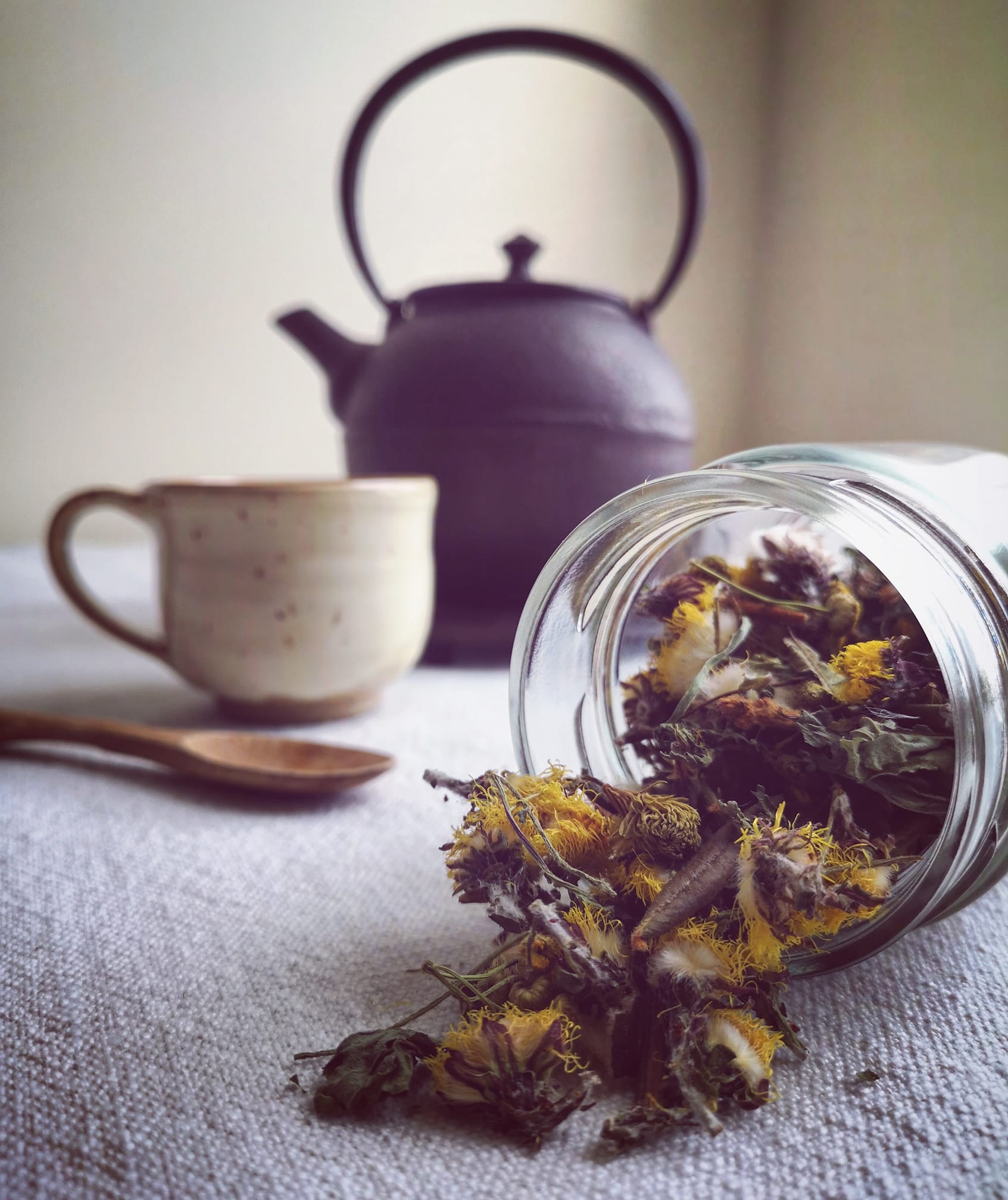 Tisane immunité - 15g - L'Achillée