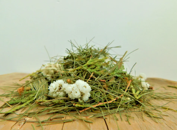 Tisane arbre de vie - 36g - Herboréal