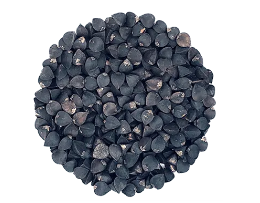 Sarrasin à germer - 250g - Bizz coop