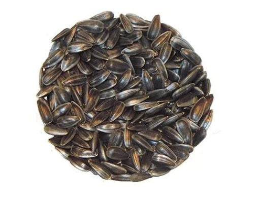 Tournesol à germer - 250g - Bizz coop
