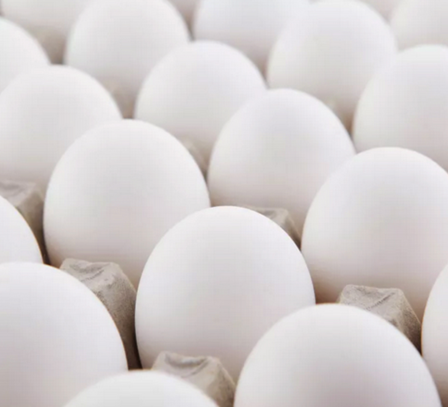 Oeufs blancs régionaux - Ferme Avicole Bergeron - 12 oeufs