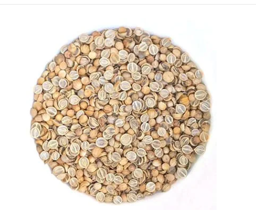 Coriande à germer - 50g - Bizz coop